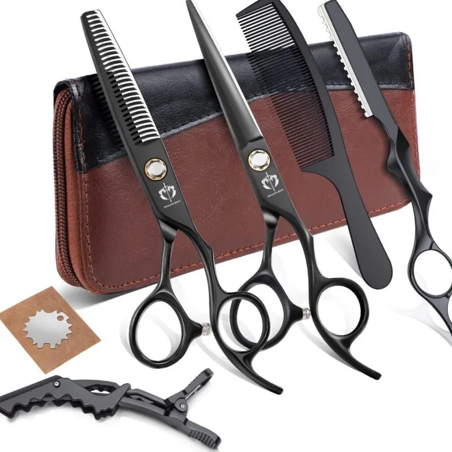 DRAGON RIOT Friseurschere Set 6.0 Zoll Profi Japanische Haarschere Schwarz