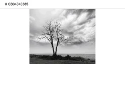 Duschrückwand Duschrückwände Ecklösung Alu Wandverkleidung Baum und See 385
