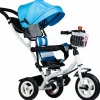 Ecotoys Dreirad mit Dach und Führungsstange blau