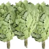 Eichenreisig 3 x 50-60 cm Eichenquast Eichenzweig Sauna Wenik Banja Saunazubehör