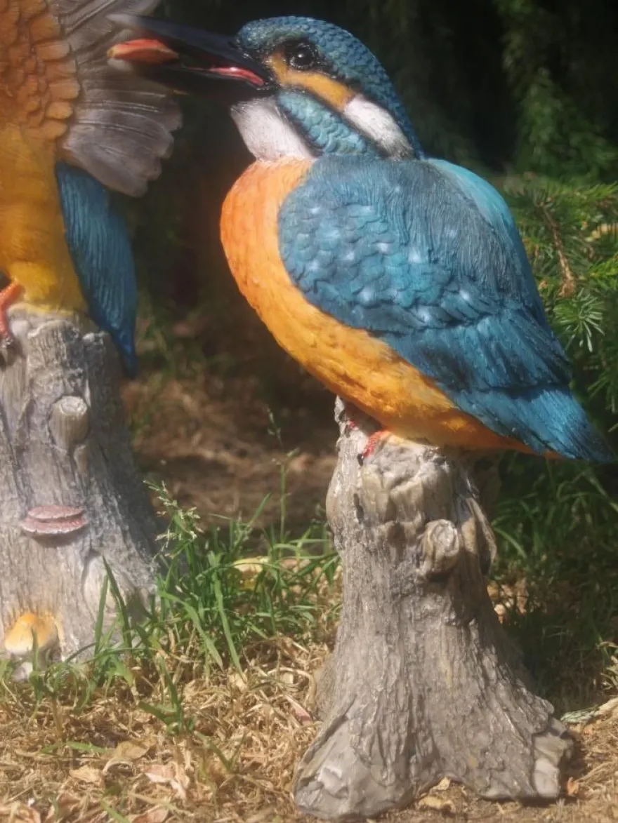 Eisvogel Deko Figur Vogel Gartenfigur Groß Teichdeko lebensecht Neuheit (Gr. Groß)