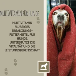 EMMA Multi Vitamine + Vitamin B-Komplex für Hunde, Tropfen 100ml