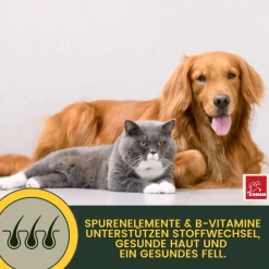 EMMA Multi Vitamine + Vitamin B-Komplex für Hunde, Tropfen 100ml