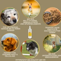 EMMA Multi Vitamine + Vitamin B-Komplex für Hunde, Tropfen 100ml