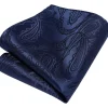 Enlision Herren Krawatten Set: Paisley Krawatte, Einstecktuch