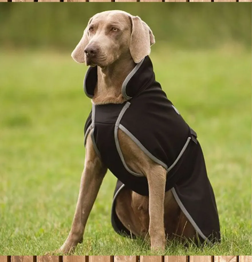 Equi Théme Softshell Hundemantel, Regenmantel, Hunde Decke Softshell, schwarz