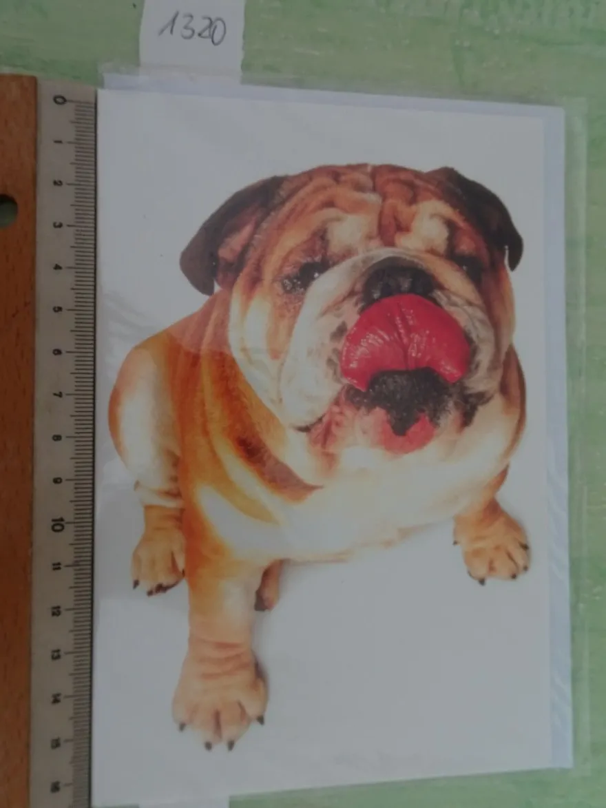 90er Jahre Grußkarten Tiere vermenschlicht Hunde Katzen Schweine Liebe Freundschaft