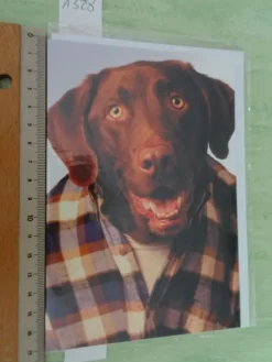 90er Jahre Grußkarten Tiere vermenschlicht Hunde Katzen Schweine Liebe Freundschaft