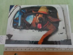 90er Jahre Grußkarten Tiere vermenschlicht Hunde Katzen Schweine Liebe Freundschaft
