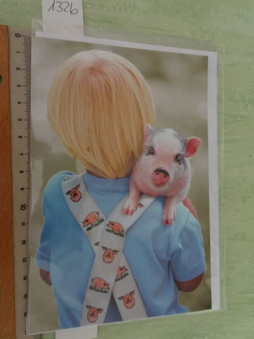 90er Jahre Grußkarten Tiere vermenschlicht Hunde Katzen Schweine Liebe Freundschaft