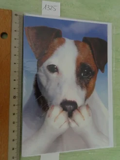 90er Jahre Grußkarten Tiere vermenschlicht Hunde Katzen Schweine Liebe Freundschaft