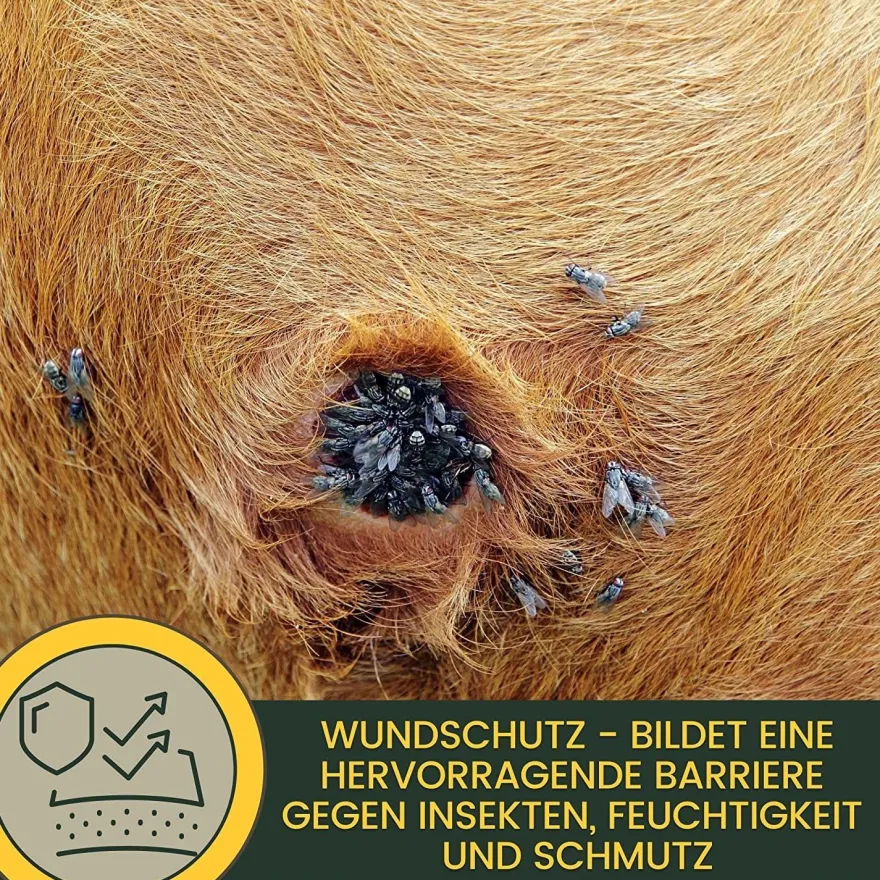 Erste Hilfe Set für Pferde I Silberspray + Zinkspray 2 * 200ml