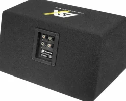 ESX DBX Dual 2x16,5 Bassreflex Doppel Subwoofer DBX-206Q cm 600 Watt