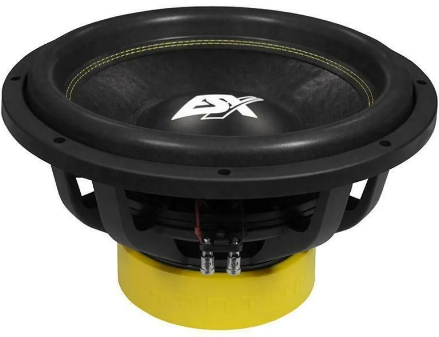 ESX Quantum Woofer QXE-15D2 3000 Watt 38 cm Subwoofer Chassis