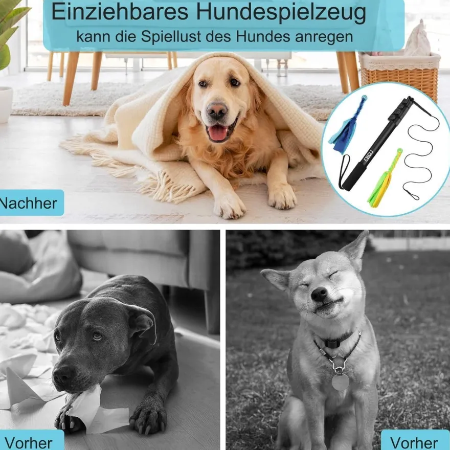 ETACCU Reizangel für Hunde, ausziehbar bis 150cm, mit Seil und 2 Ersatzseilen