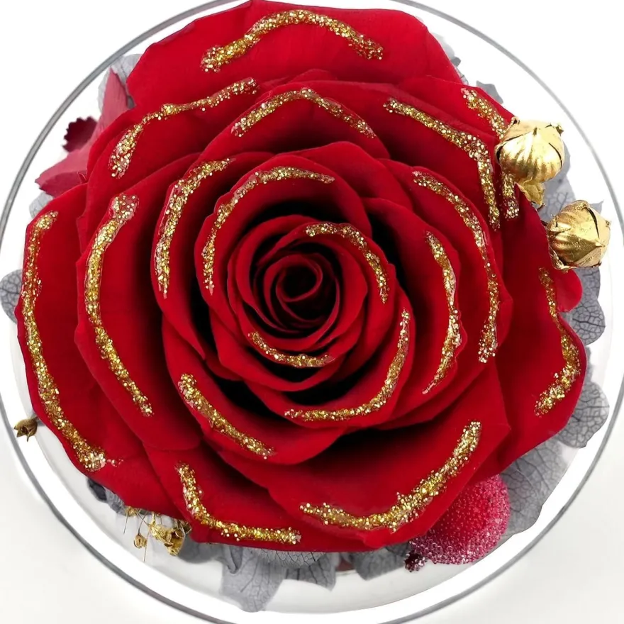 Ewige Rose Engel Glaskuppel Geburtstagsgeschenk Frau Mutter Weihnachten