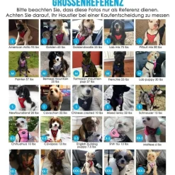 Eyein Hundegeschirr mit Sicherheitsgurt für Auto, atmungsaktiv, verstellbar