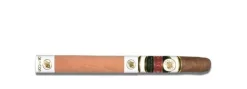 Flor de Copán Maduro