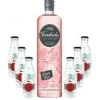 Friedrichs Gin Liqueur Grapefruit 0,7l 700ml (31% Vol) + 6x Goldberg Japanese Y