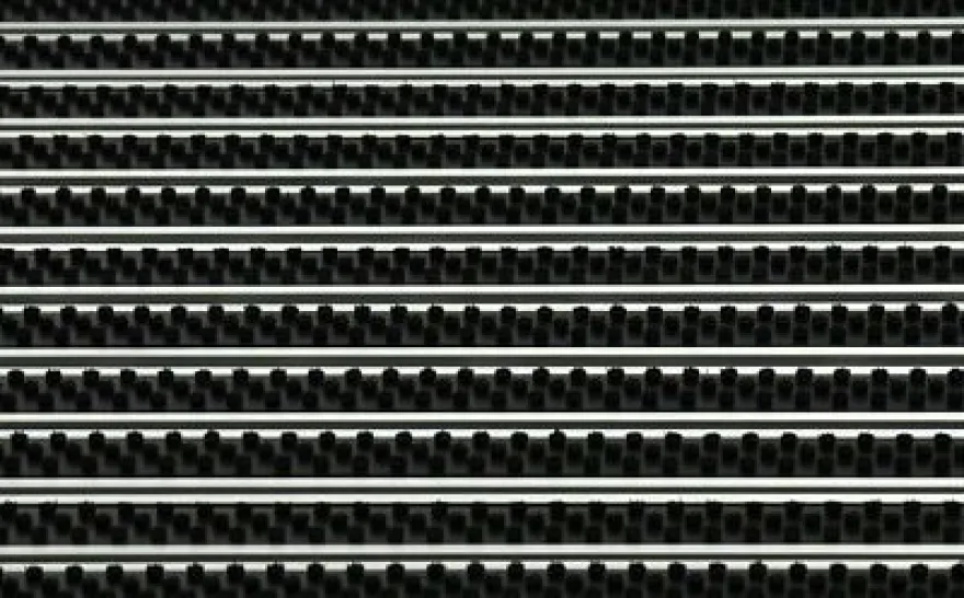 Fußmatte Eingangsmatte picobello 22mm Bürsten schwarz robust