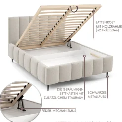 Furnistar Polsterbett LINO mit Bettkasten, Doppelbett mit Stauraum und Lattenrost