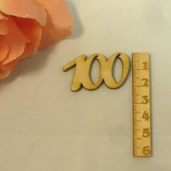100 Geburtstag Zahl aus Holz verschiedene Größen Geschenk Hochzeit Jubiläum Deko