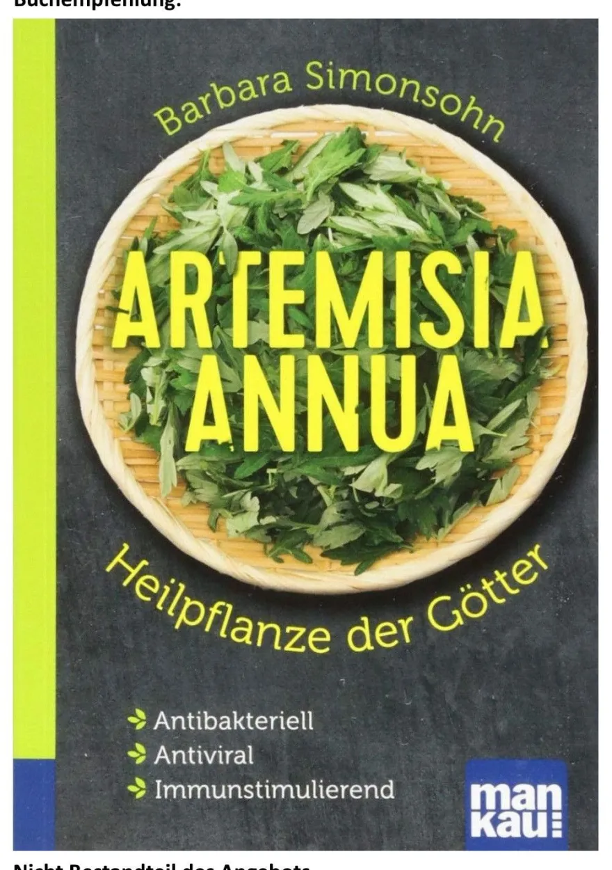 250g einjähriger Beifuß - Artemisia annua / Kraut geschnitten