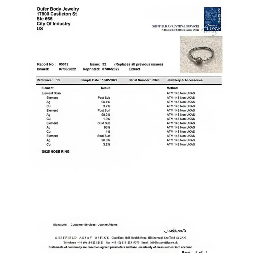 20G Nasenpiercing Silber 925 CZ Nase Stud Ring Hoop nostril piercing OUFER
