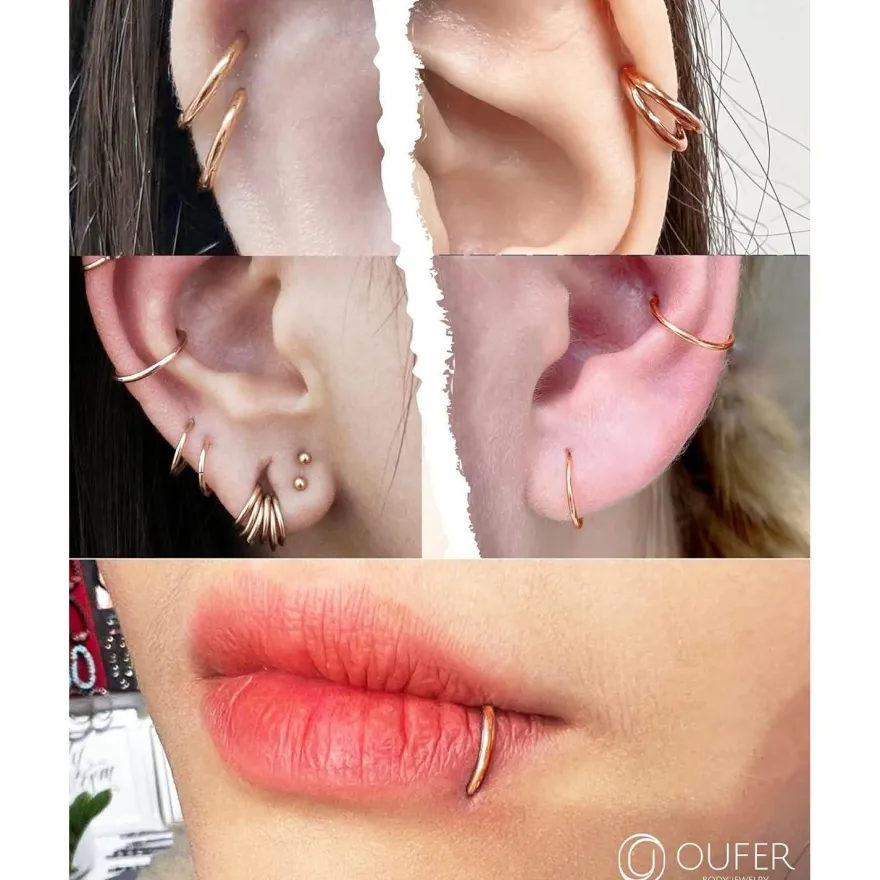 16G 2pcs Helix Silber Chirurgenstahl Rook Tragus Conch Cartilage Earring