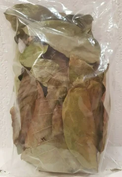 50 grün-braune Walnussblätter Laub Beutel Garnelen, Welse, Krebse, Aquarium