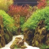 Hobby Fotorückwand Canyon / Woodland XL Rückwand 120x50cm Aquarium