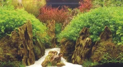 Hobby Fotorückwand Canyon / Woodland XL Rückwand 120x50cm Aquarium