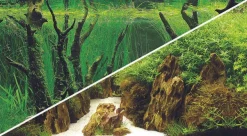 Hobby Fotorückwand Canyon / Woodland XL Rückwand 120x50cm Aquarium