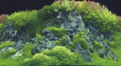 Hobby Fotorückwand Planted River / Green Rocks S Rückwand 60x30cm Aquarium TOP
