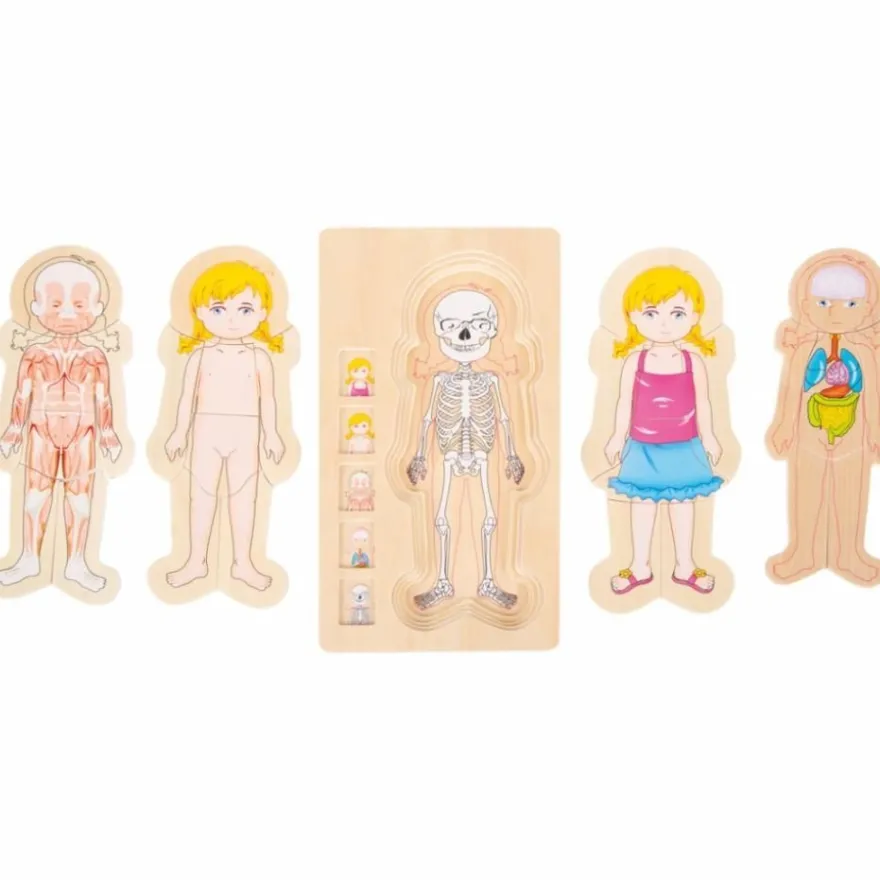 Holzpuzzle Anatomie