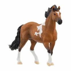 Horse Club Mangalarga Marchador Hengst