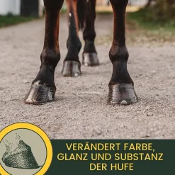 Hufpflege Set - Huföl Pferde mit Pinsel + Strahlpflege + Hufbalsam