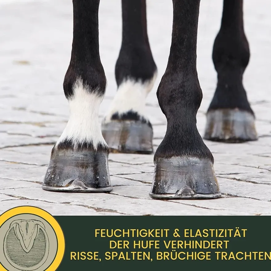 Hufpflege Set - Huföl Pferde mit Pinsel + Strahlpflege + Hufbalsam