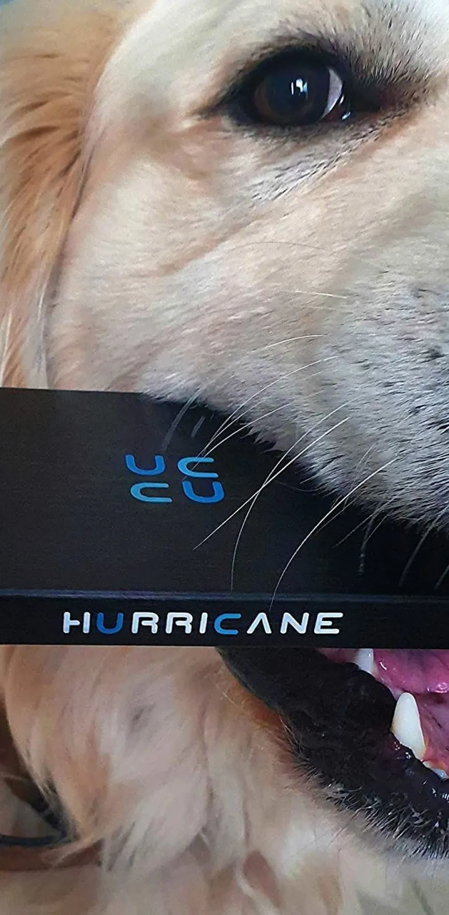 Hurricane GD25612C Externe Festplatte 500GB 2,5' USB-C Windows, Mac, Linux