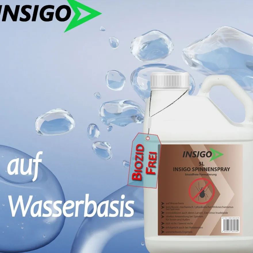 INSIGO 5L + 1L Anti Spinnenspray Mittel Schutz Abwehr vertreiben Spinnen frei ex