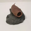 Jecetiba Hülse Hornkapsel auf Steinplatte ca 7-9cm - Deko Aquarium Höhle Garnelen