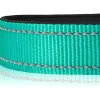 Joytale Gepolstertes Neopren Nylon Hundehalsband für große Hunde, verstellbar