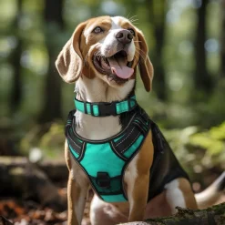 Joytale Gepolstertes Neopren Nylon Hundehalsband für große Hunde, verstellbar