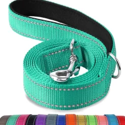 Joytale Hundeleine aus Nylon, 1,2m x 2,5cm, Türkis - Doppelseitig