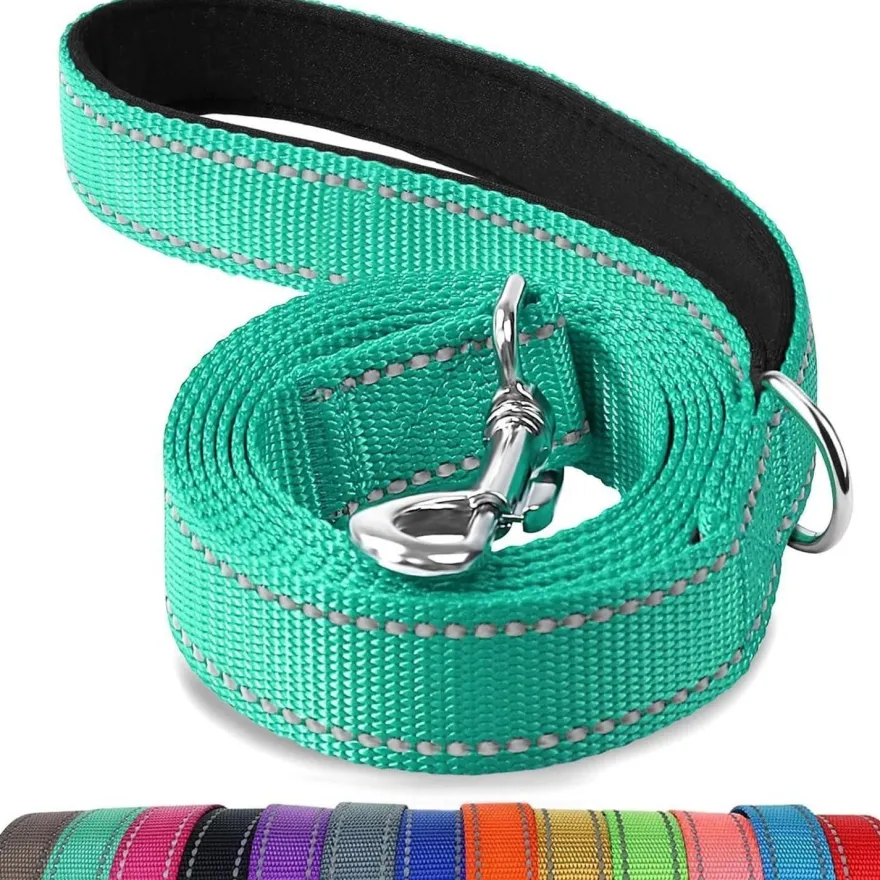 Joytale Hundeleine aus Nylon, 1,2m x 2,5cm, Türkis - Doppelseitig
