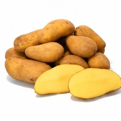 Kartoffeln Ditta festkochend - Deutsche Speisekartoffel - 1 - 25 KG neue Ernte 2026
