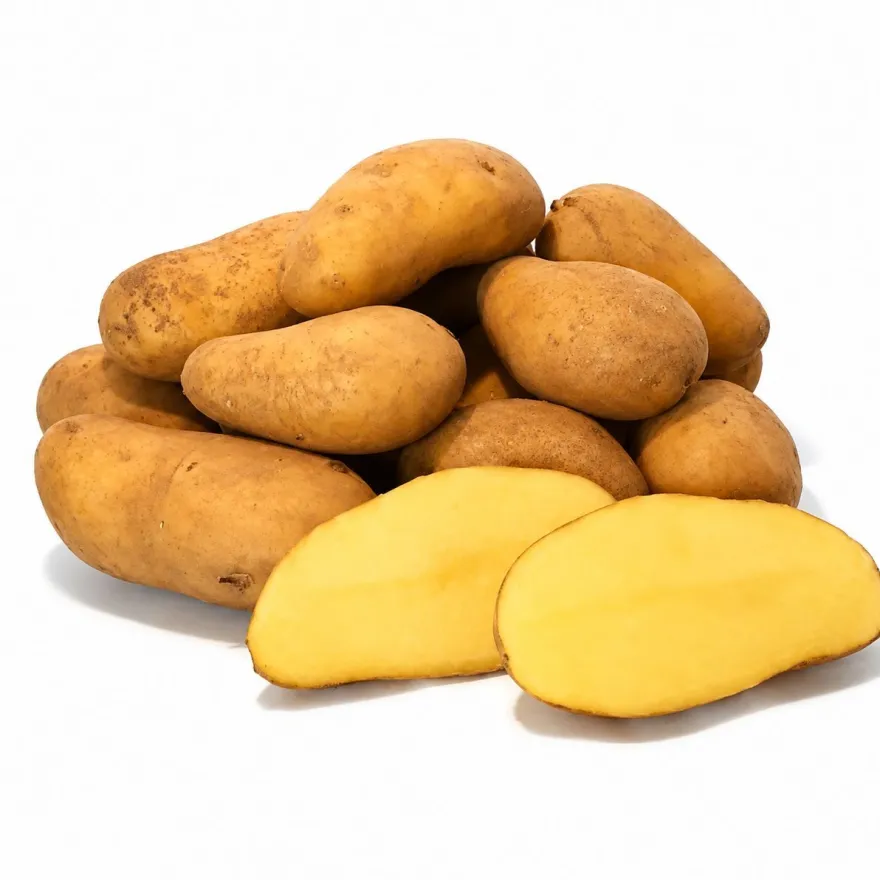 Kartoffeln Ditta festkochend - Deutsche Speisekartoffel - 1 - 25 KG neue Ernte 2026