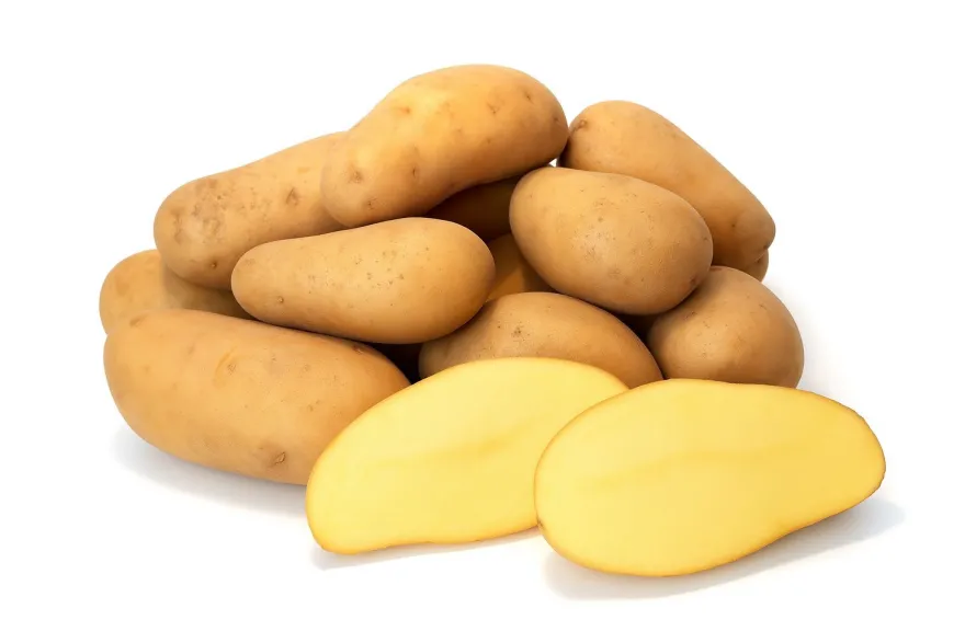 Kartoffeln Ditta festkochend - Deutsche Speisekartoffel - 1 - 25 KG neue Ernte 2026