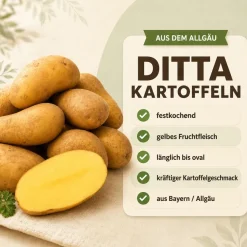 Kartoffeln Ditta festkochend - Deutsche Speisekartoffel - 1 - 25 KG neue Ernte 2026