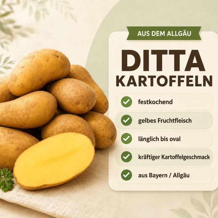 Kartoffeln Ditta festkochend - Deutsche Speisekartoffel - 1 - 25 KG neue Ernte 2026